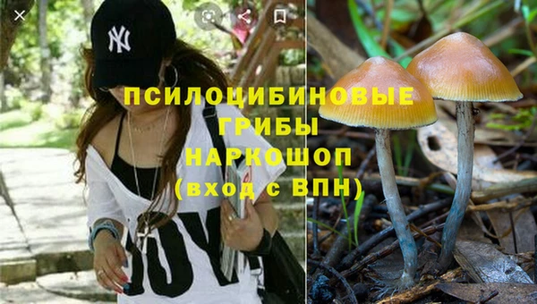 молекула духа Абаза